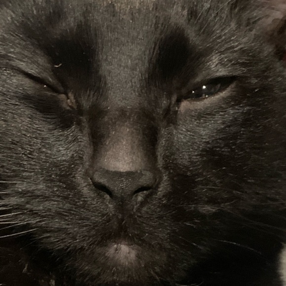 Meet your Posher, Nabeeha - Picture 1 of 1